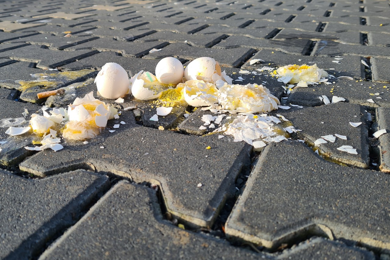 Die 19-jährige Frau ist während ihrer Gassi-Runde mit Eiern beworfen worden. (Archivbild)