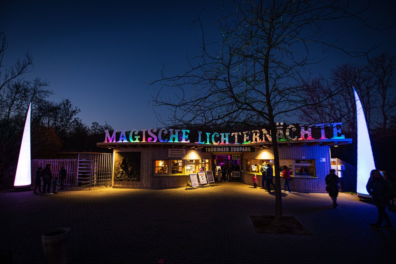 Noch bis Mitte Februar gibt es die Magischen Lichternächte im Zoo Erfurt. (Archivbild)