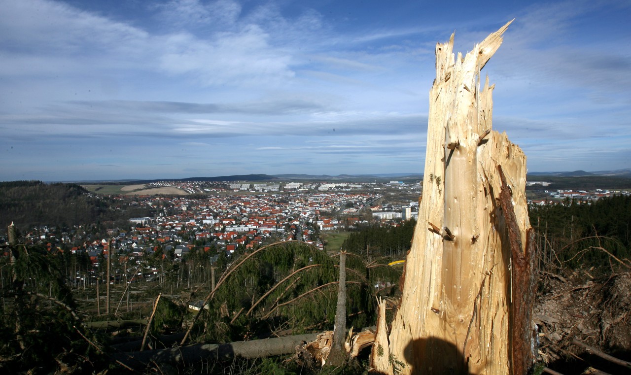 Traurige Bilder des Thüringer Waldes! Vor 15 Jahren wütete der Orkan „Kyrill“. (Archivbild)