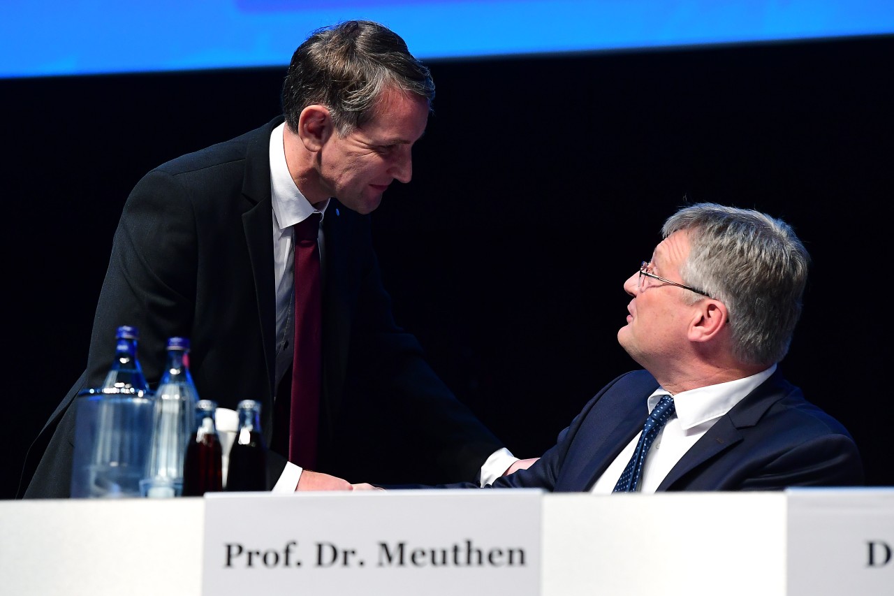 Schnappt sich Björn Höcke (auf dem Bild links) den AfD-Chefposten von Jörg Meuthen? (Archivbild)