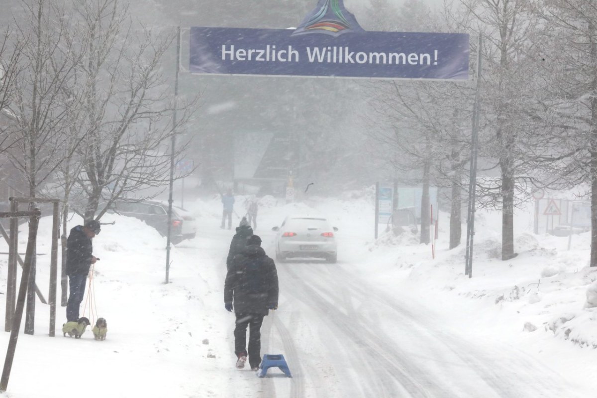 thüringer wald.jpg