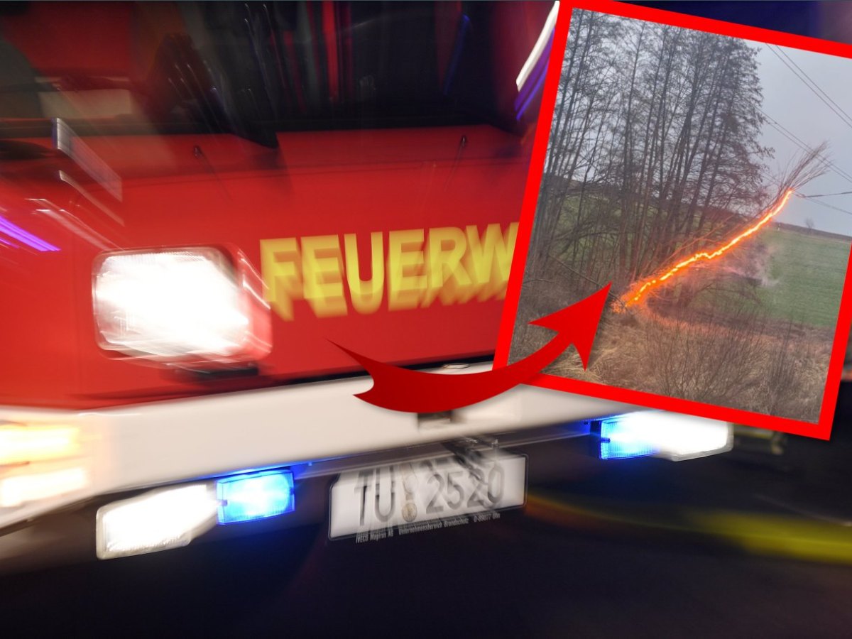 weimarer land feuer baum.jpg