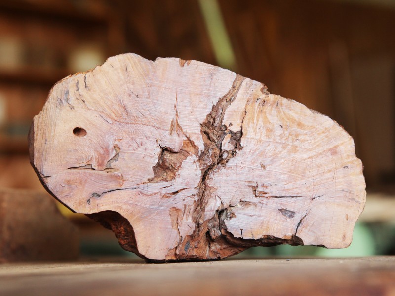 Der Pfeifenmacher kauft das Holz teuer ein, wenn er die Wurzel aufschneidet, kann aber auch so etwas heraus kommen: Lauter Löcher und sie ist für den Pfeifenbau nicht mehr geeignet.