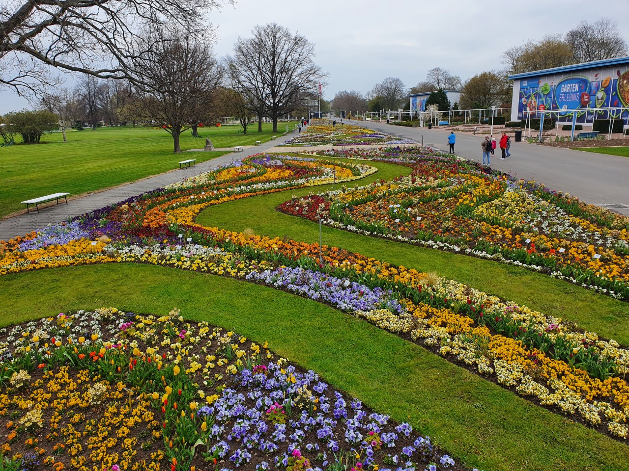 Das große Blumenbeet im egapark ist ein echtes Highlight auf der Buga! 