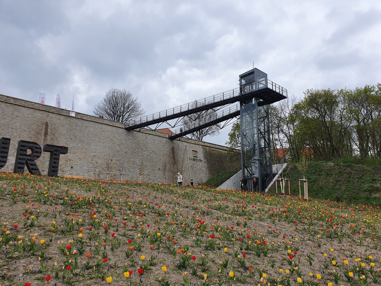 Direkt auf den Petersberg kommst du auch mit dem Panoramafahrstuhl! 