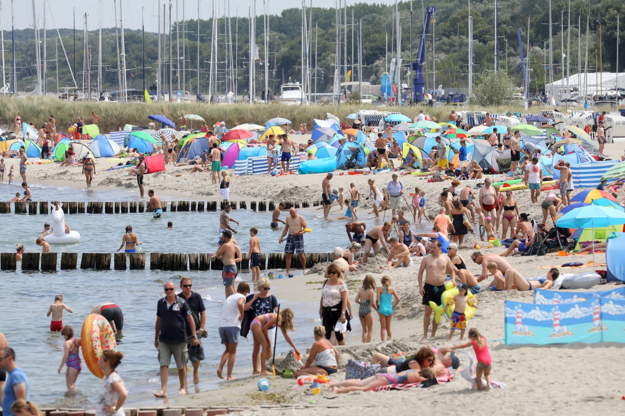 Behörden warnen Immungeschwächte vor einem Bad in der Ostsee. 