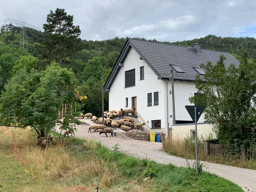 Viele Nutzer bei Facebook feiern gerade dieses Foto.