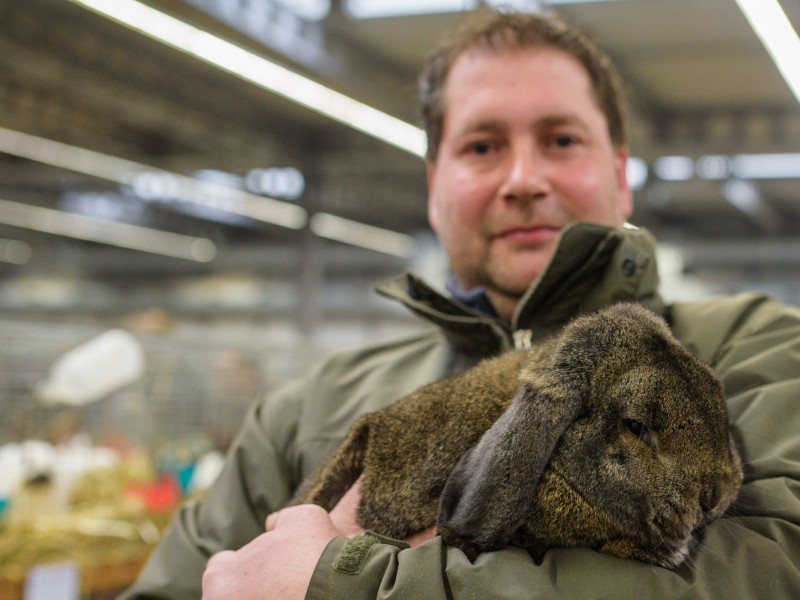 Thomas Dierksen aus Weener (Ostfriesland) hält sein Kaninchen der Rasse Deutscher Kleinwidder auf dem Arm, das als Bundessieger der Rasse ausgezeichnet wurde. 