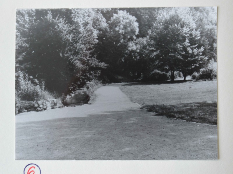 Der Weg zum Ochsenauge im Weimarer Goethepark. (Fotos: Polizei)