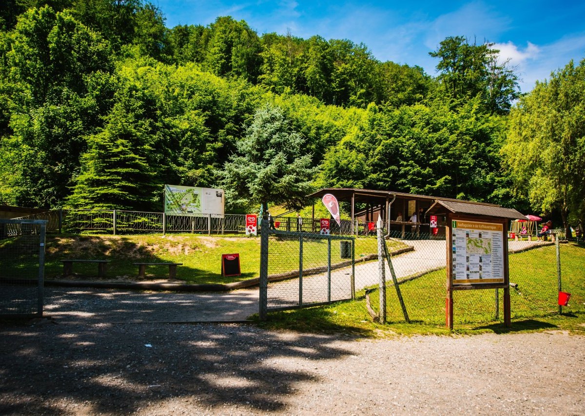 Affenwald Straußberg.jpg