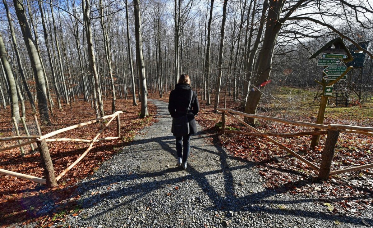 Bad Berka Friedhof im Wald