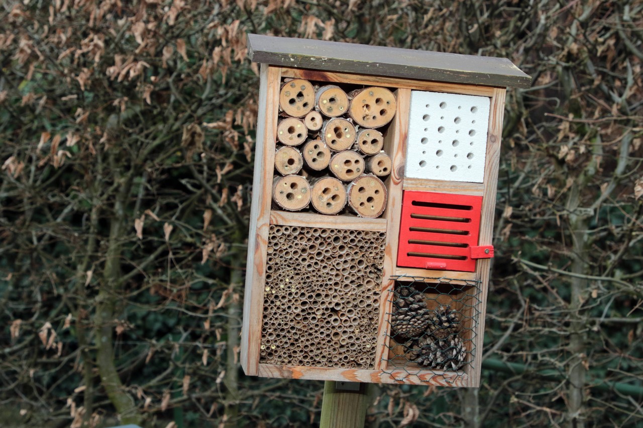 So ein Insektenhotel wurde auf der Buga zerstört. (Symbolbild)