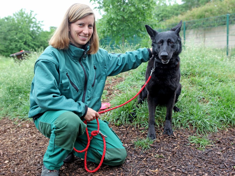 Ciara ist sechs Jahre alt und lebt seit zwei Jahrem im Tierheim. Bei Tierpflegerin Mirjam Koch ist sie ganz zutraulich, ihr neuer Besitzer sollte aber unbedingt Erfahrung mit Hunden haben.