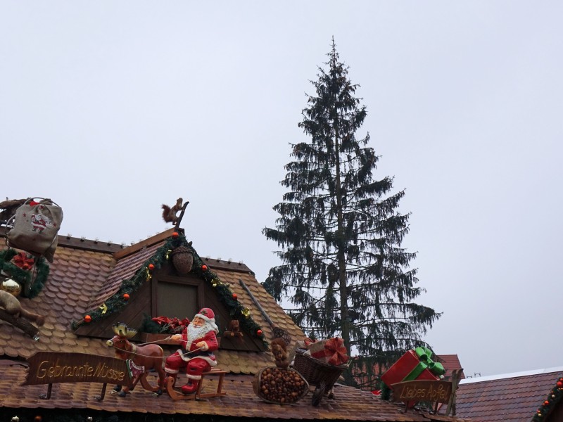 Der Weihnachtsmarkt in Erfurt 2018 öffnet am 27. November. Knapp eine Woche vorher lief der Aufbau auf dem Domplatz auf Hochtouren.