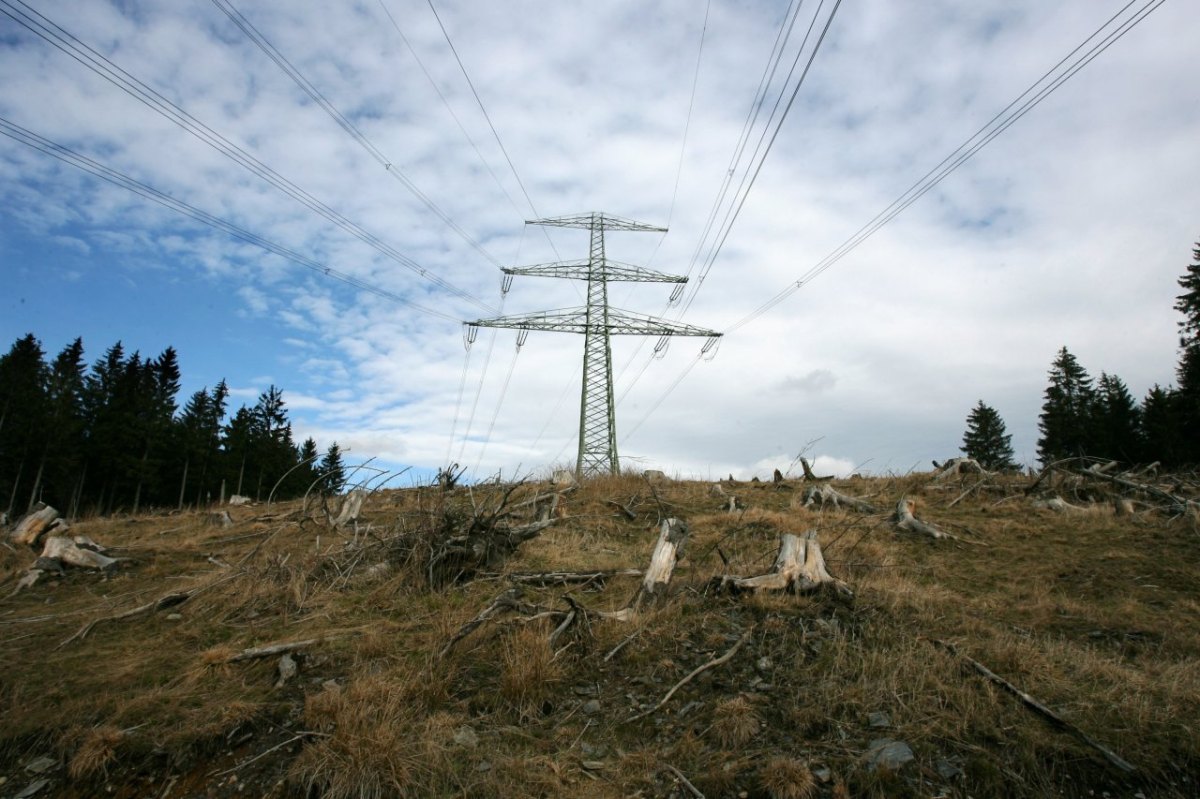Eine bestehende Stromtrasse im Thüringer Wald bei Goldisthal