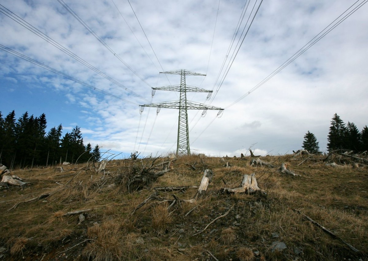 Eine bestehende Stromtrasse im Thüringer Wald bei Goldisthal