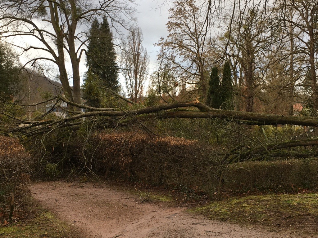 Das Sturmtief hat auch in Eisenach auf dem Friedhof seine Spuren hinterlassen. 