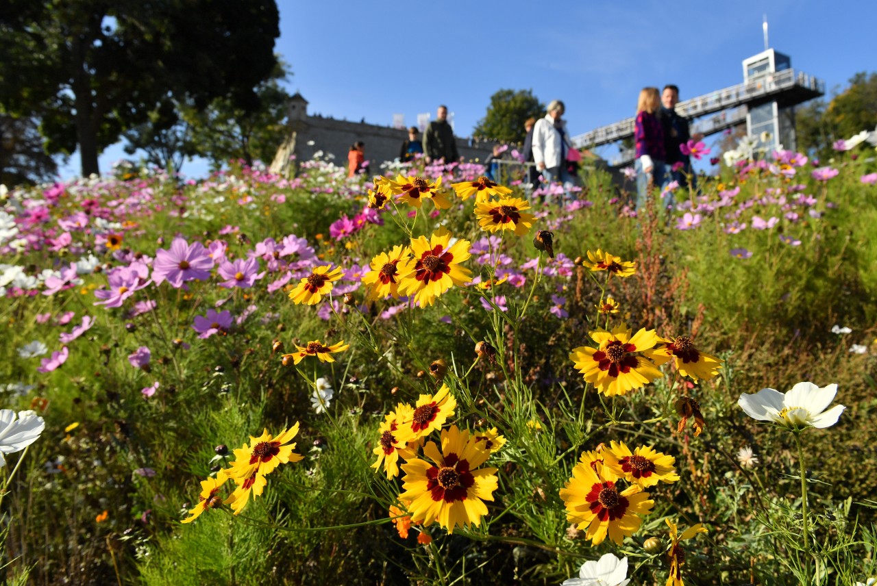 Eine neue Regel am Egapark in Erfurt sorgt gerade für Diskussionen. (Archivbild)