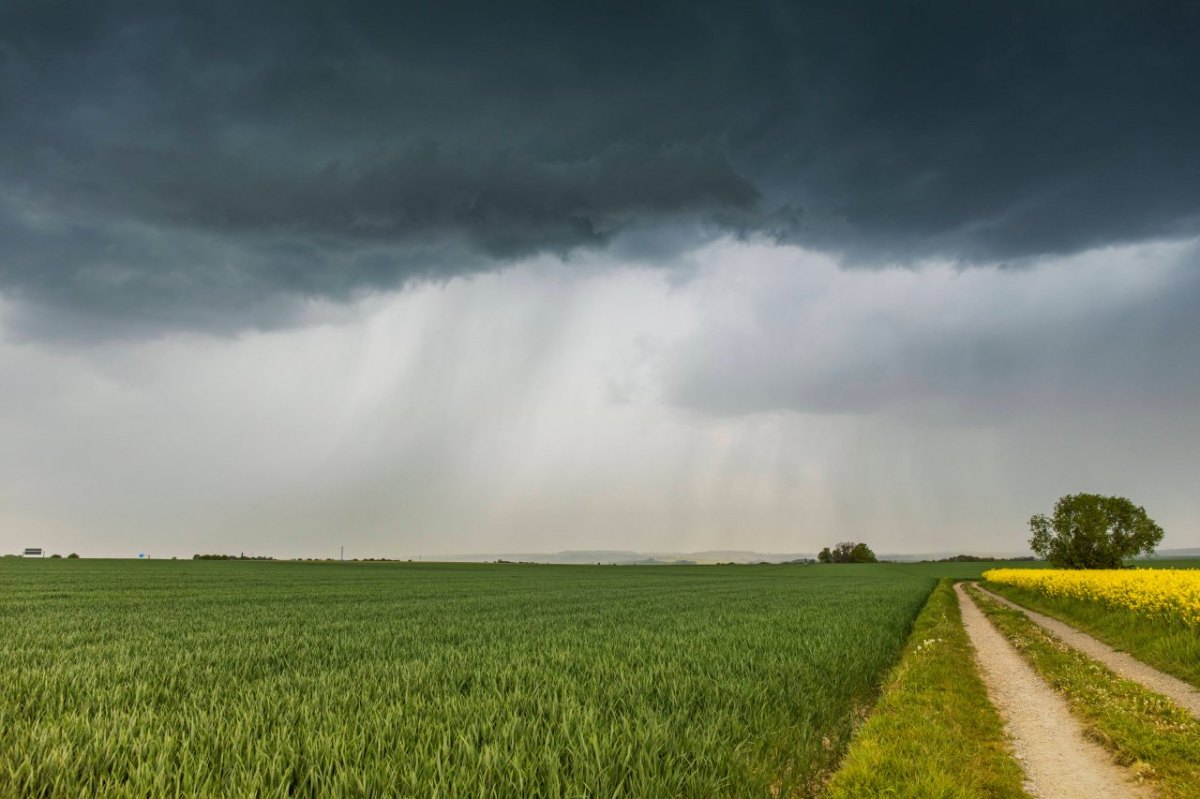 Erfurt Phänomen am Himmel Auge Thüringen Kühnhausen