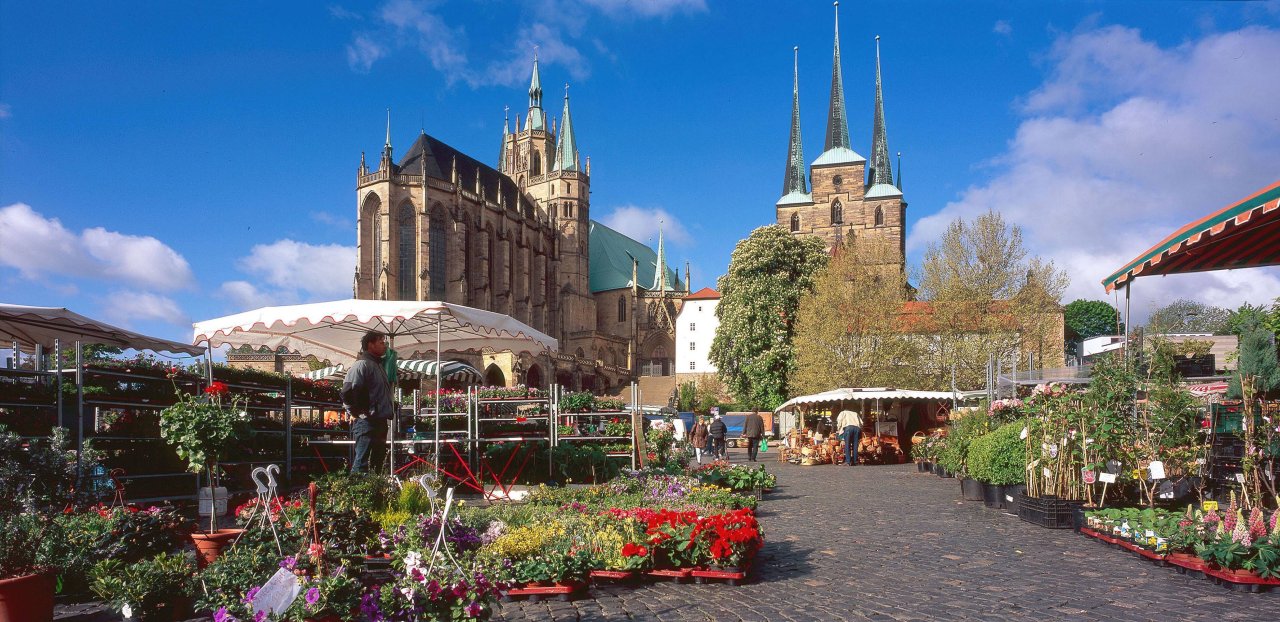 Blumen und Gartenmarkt bringt FlowerPower auf den Domplatz Thueringen24