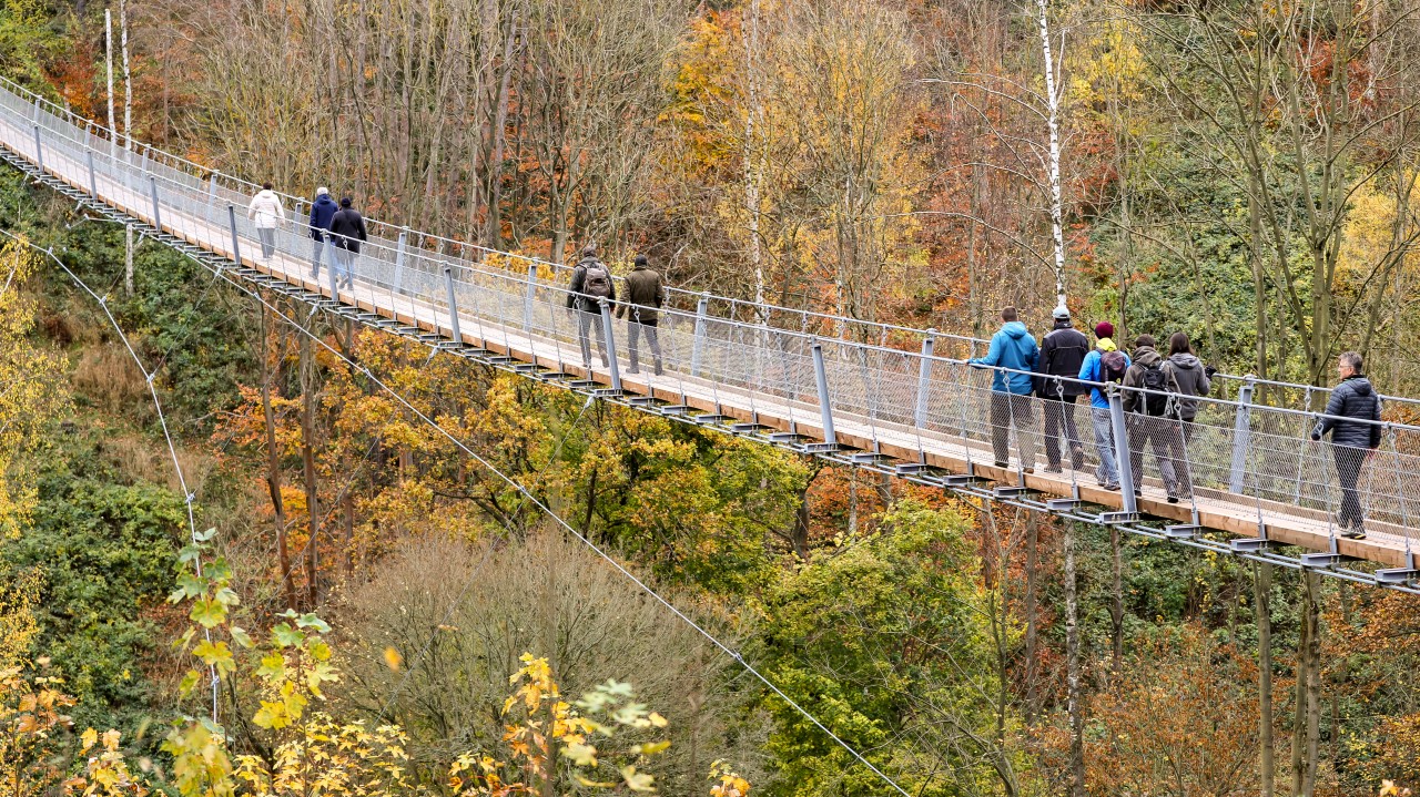 Die Hängebrücke in der Hohen Schrecke ist ein Tourismushighlight im Freistaat. (Archivbild)