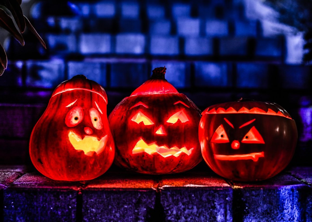 Halloween Kürbisse Kürbis gruseln gruselig Grusel Horror Symbol, Symbolfoto, Symbolbild