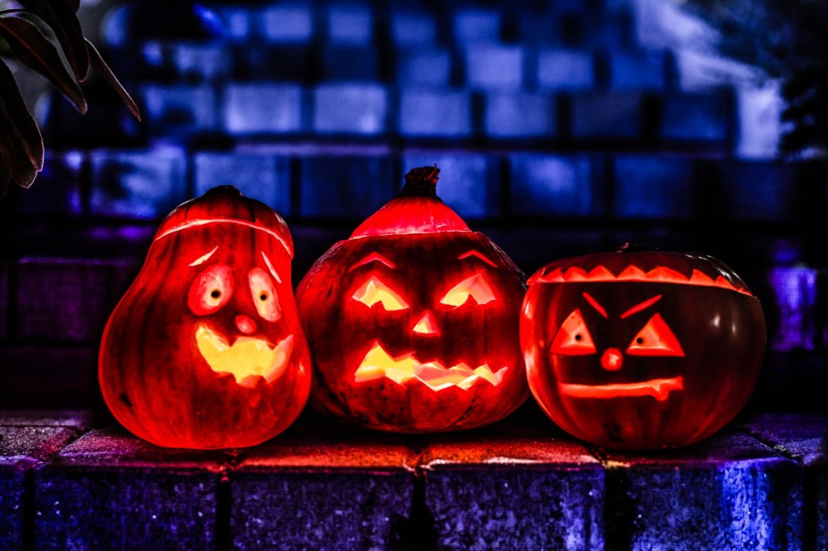Halloween Kürbisse Kürbis gruseln gruselig Grusel Horror Symbol, Symbolfoto, Symbolbild