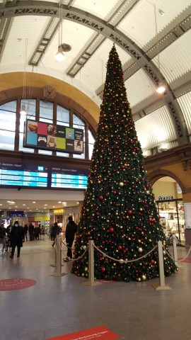 Der Weihnachtsbaum im Hauptbahnhof Erfurt!