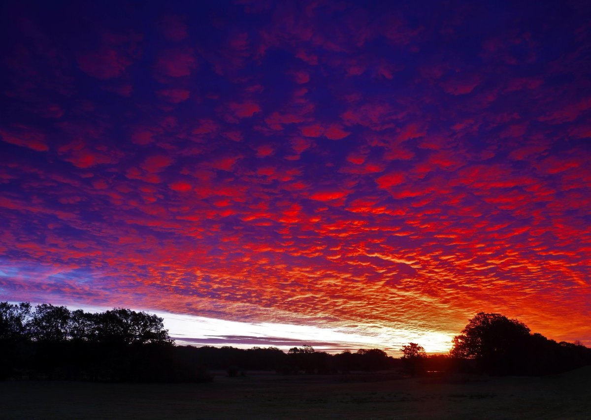 Himmel Wolken Sonnenuntergang lila Farben