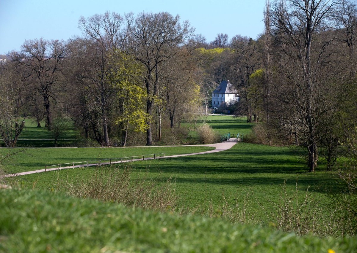 Ilmpark Weimar.jpg