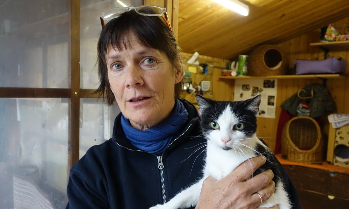 Juliane Lukas mit einer einjährigen Fundkatze Tierschutzverein Jena