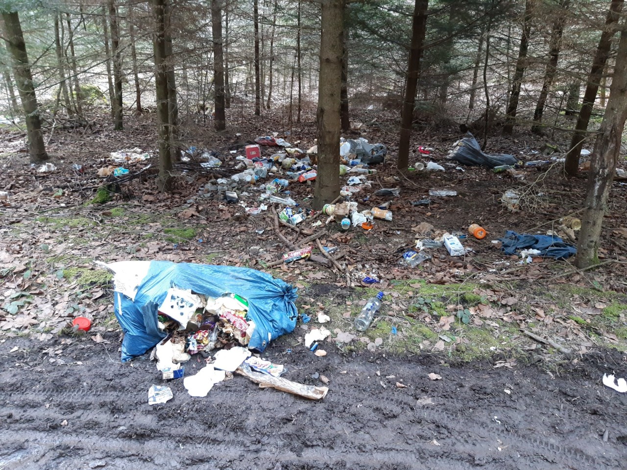 Die erste illegale Müllkippe des Monats liegt in Schleiz/Wernburg.