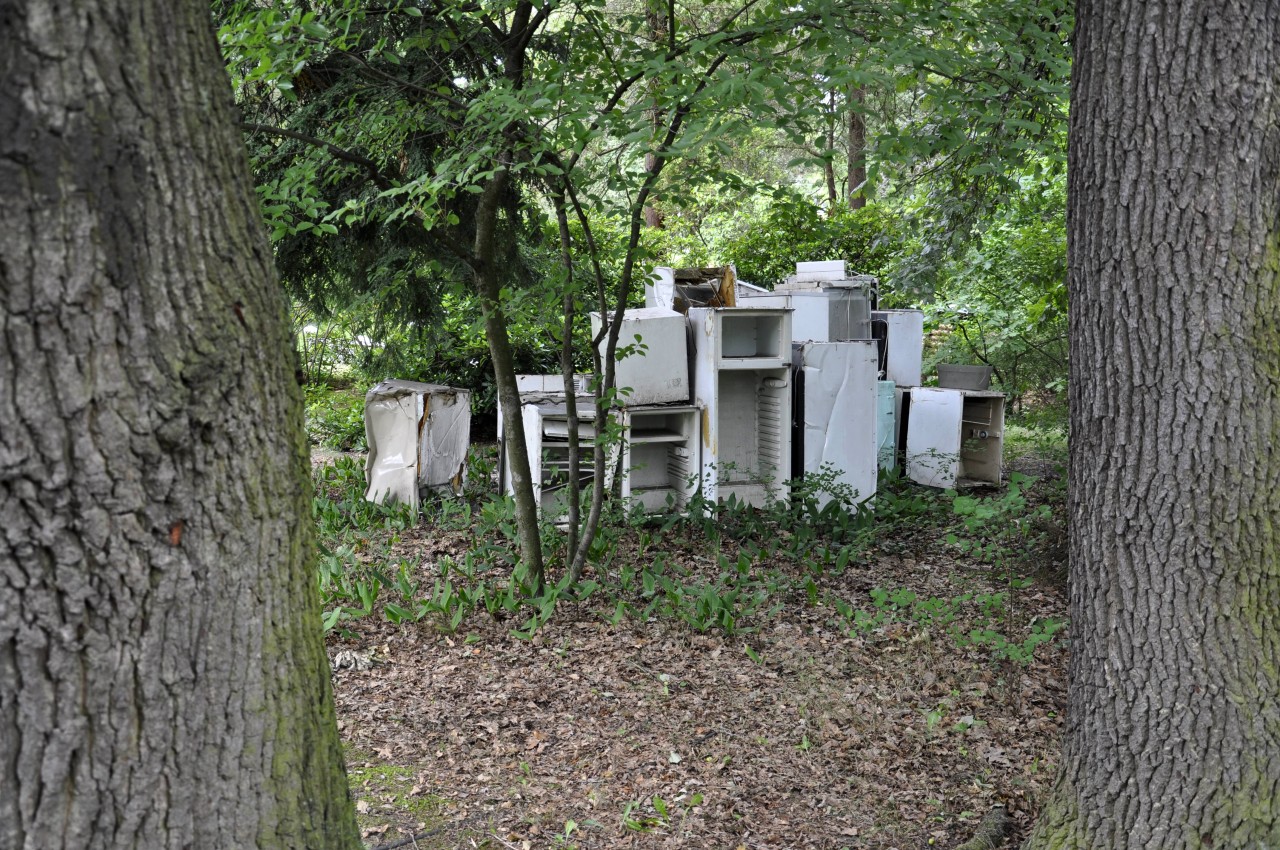 In den Wäldern in Thüringen ist immer mehr Müll gefunden worden, vor allem viel Sondermüll. (Symbolfoto)