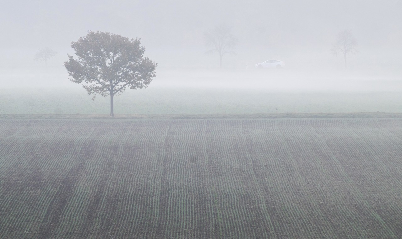 Achtung! Das Wetter in Thüringen wird in den kommenden Nächten neblig. (Symbolbild)