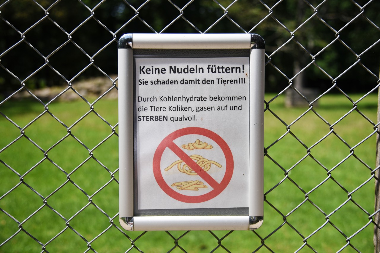 Das Team des Tierparks in Bad Liebenstein ist sauer und betont: Die Tiere bitte nicht füttern! (Symbolbild)