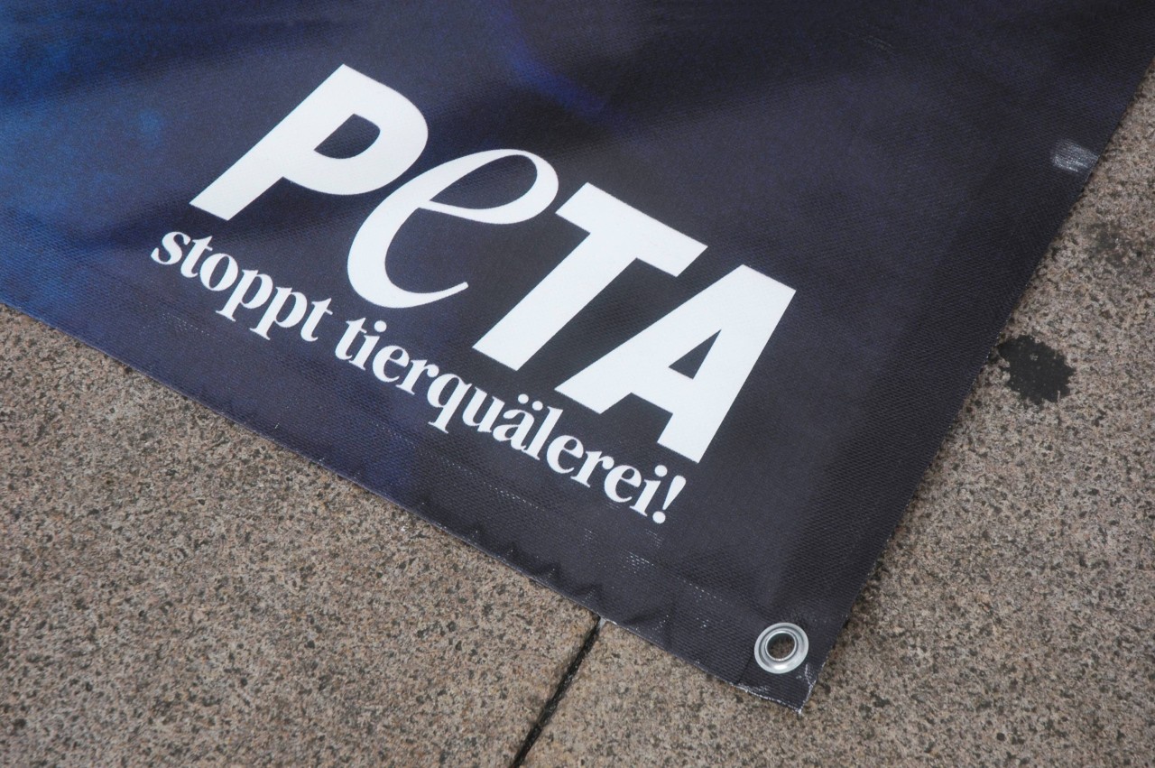 Tierrechtler von Peta haben jetzt ein Kopfgeld ausgesetzt. Damit soll der Luchs-Killer gefunden werden. (Archivbild)