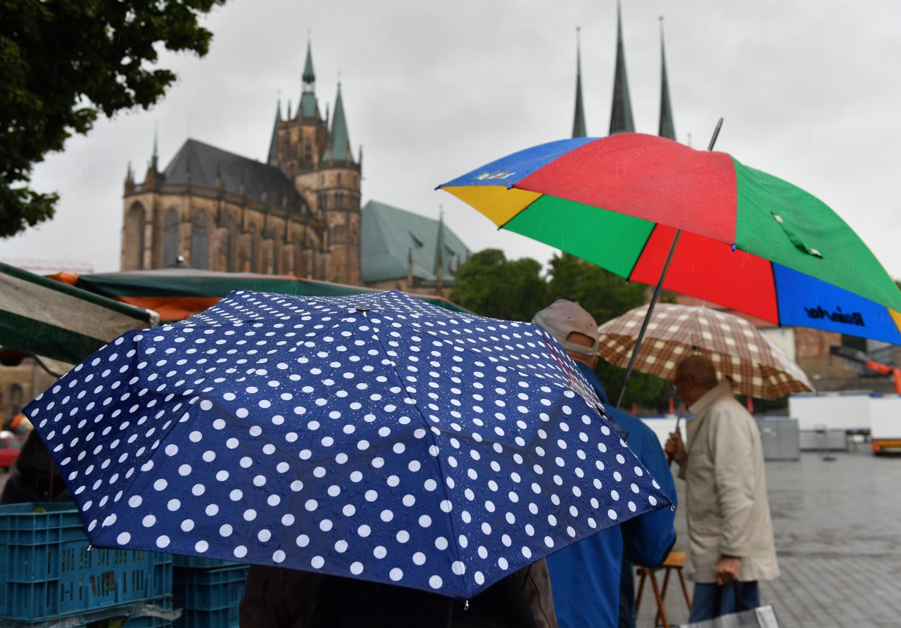 Den Regenschirm solltest du gut festhalten. (Archivbild)