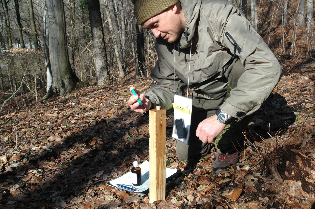 Silvester Tamás präpariert einen Wildkatzen-Lockstock im Saale-Holzland-Kreis.