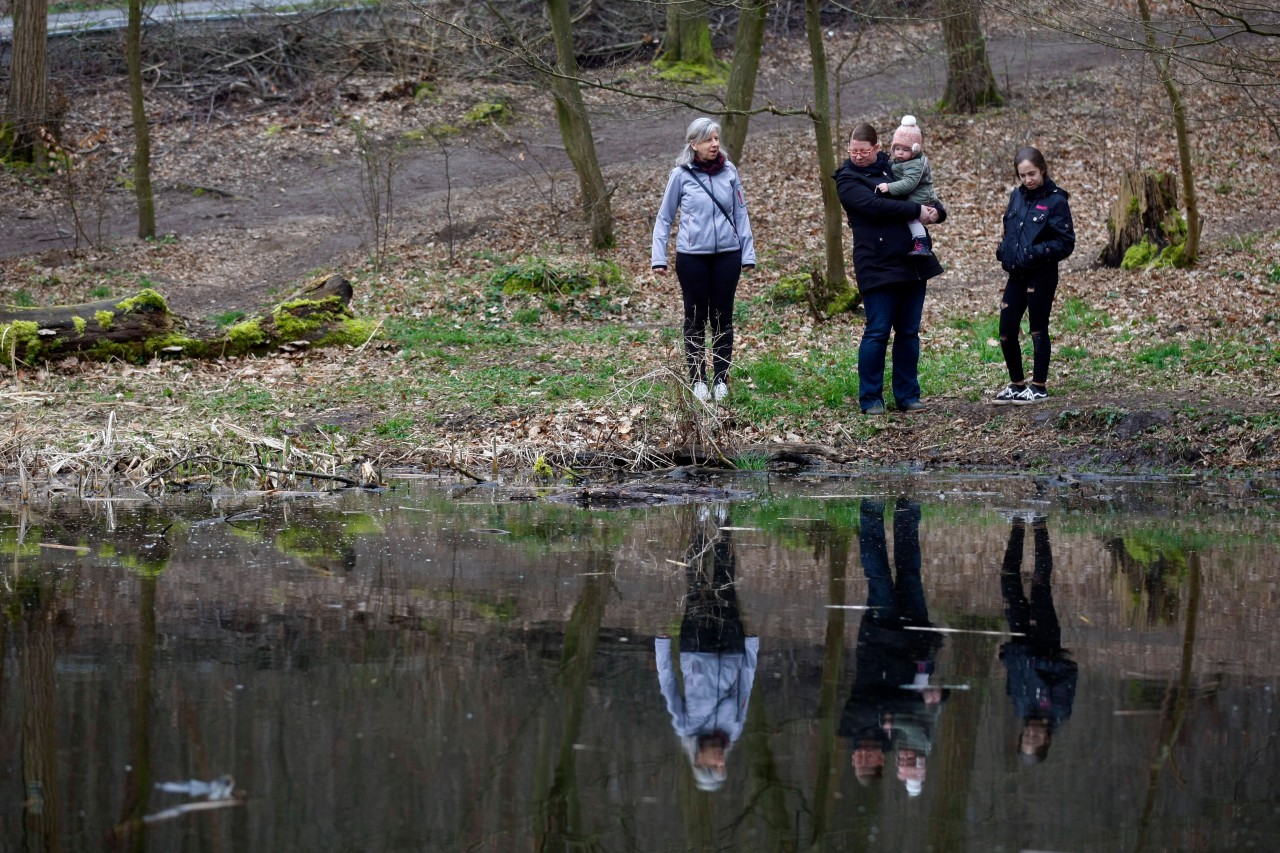 Eine Spaziergängerin hat im Steigerwald in Erfurt eine Entdeckung gemacht. Das steckt dahinter. (Symbolbild)