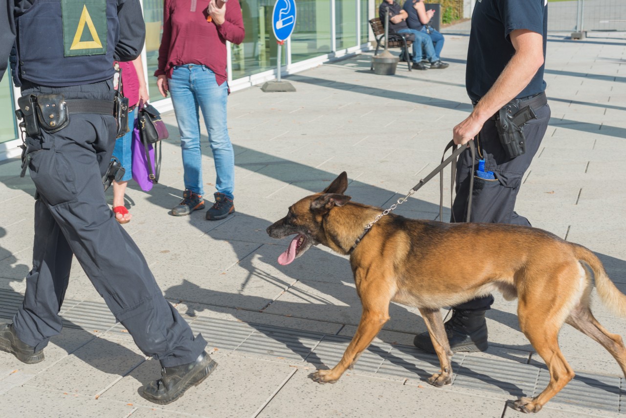 Bei der Durchsuchung des riesigen UKJ-Komplexes helfen auch Spürhunde der Polizei mit. Am Dienstag (17.10.2017) war eine Bombendrohung am Uniklinikum Jena eingegangen.