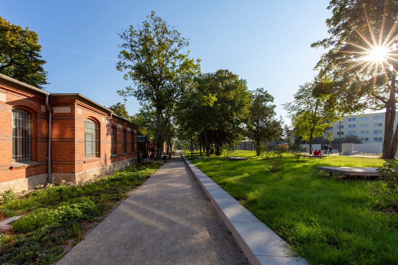 Nordhausen: Der „Pocket-Park“ an der Nordhäuser Straße ist fertig
