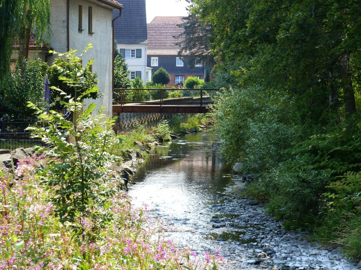 Thüringen-Sonneberg.jpg