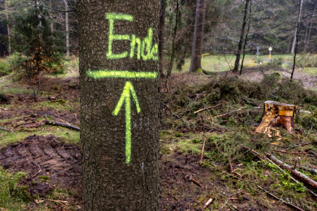 Thüringer Wald.jpg