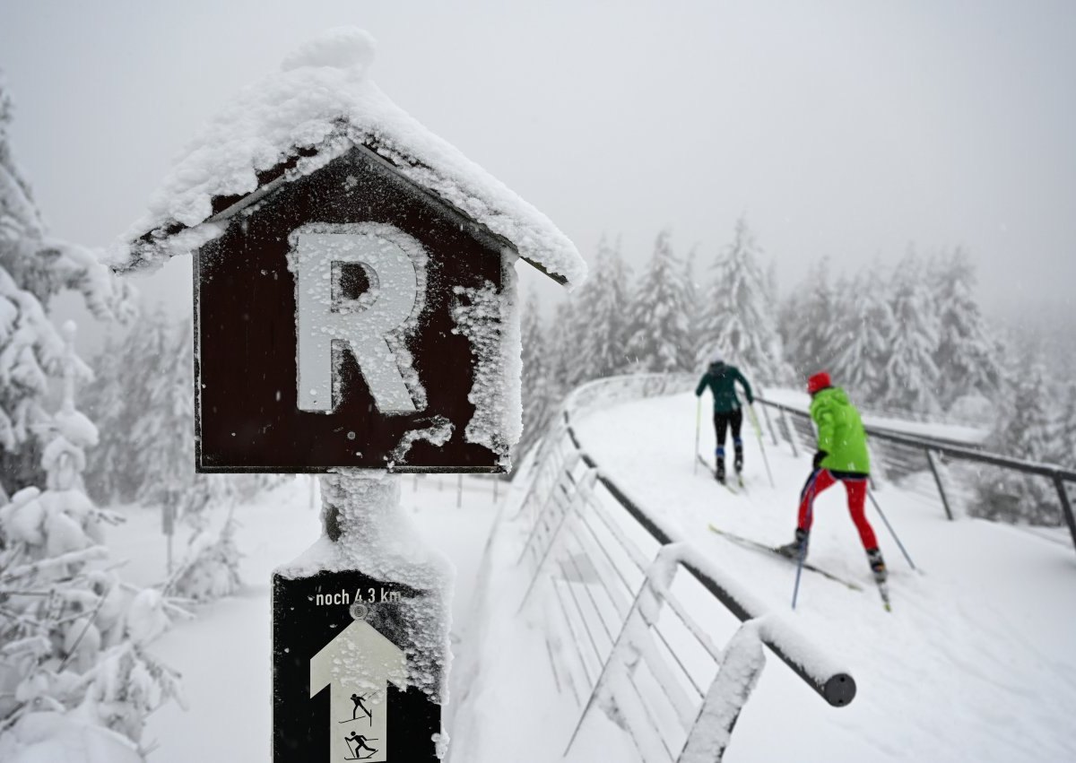 Thüringer Wald Wintersport.jpg