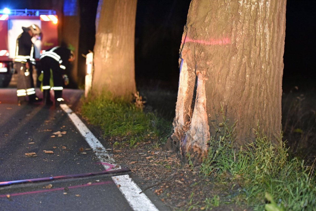 Unfall mit Baum