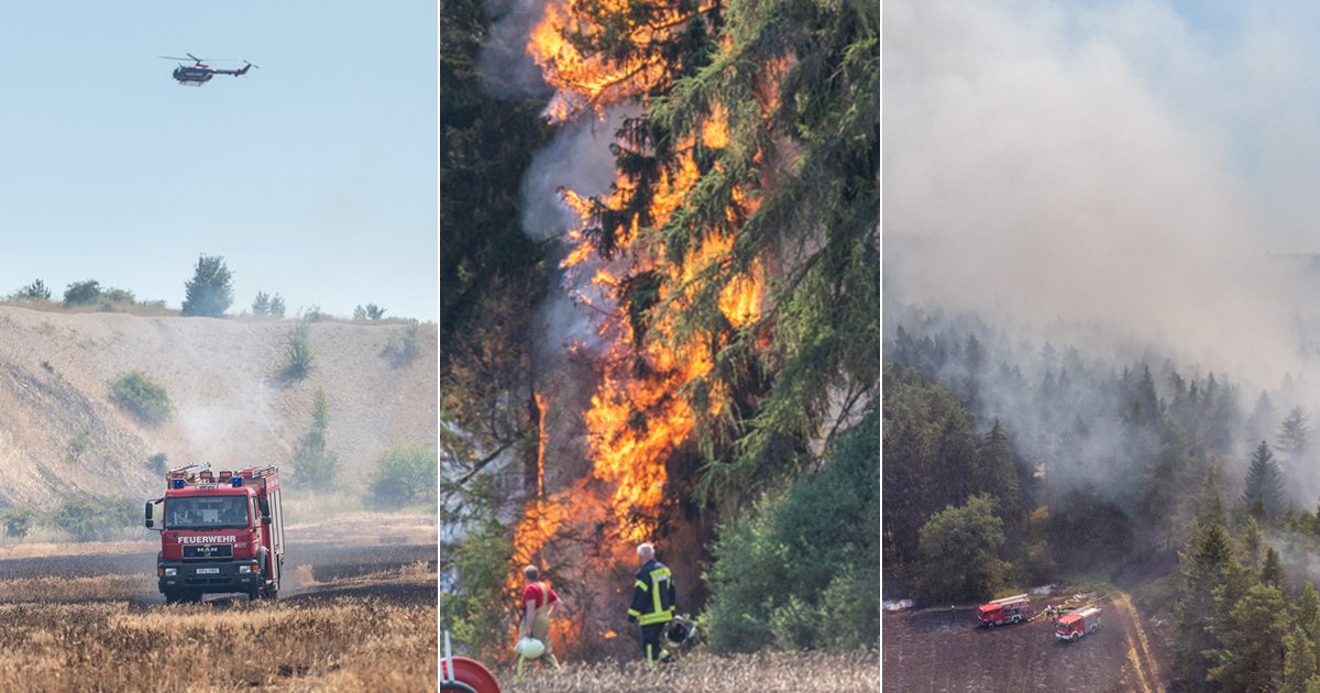 Waldbrand im Weimarer Land