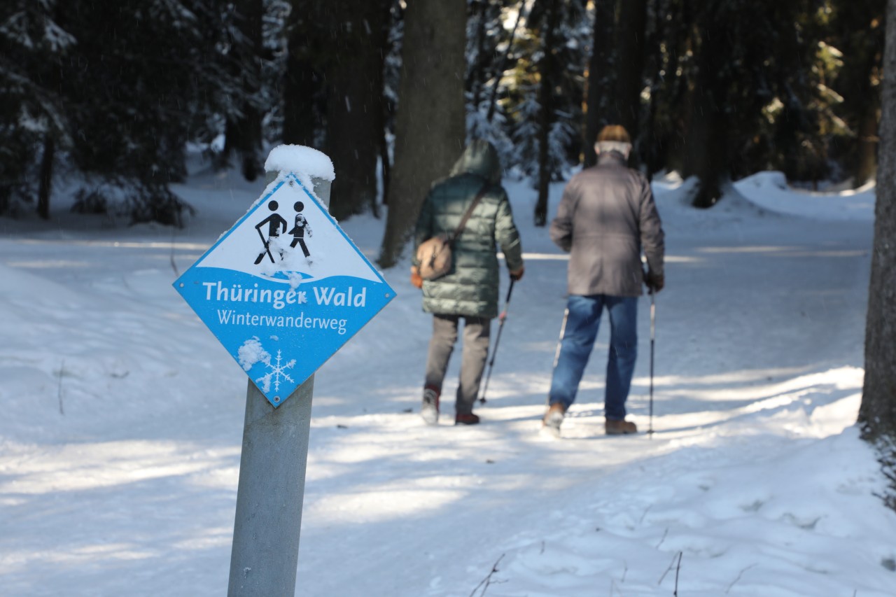 Der Regionalverband rät vom Wandern im Thüringer Wald ab. (Archivbild)