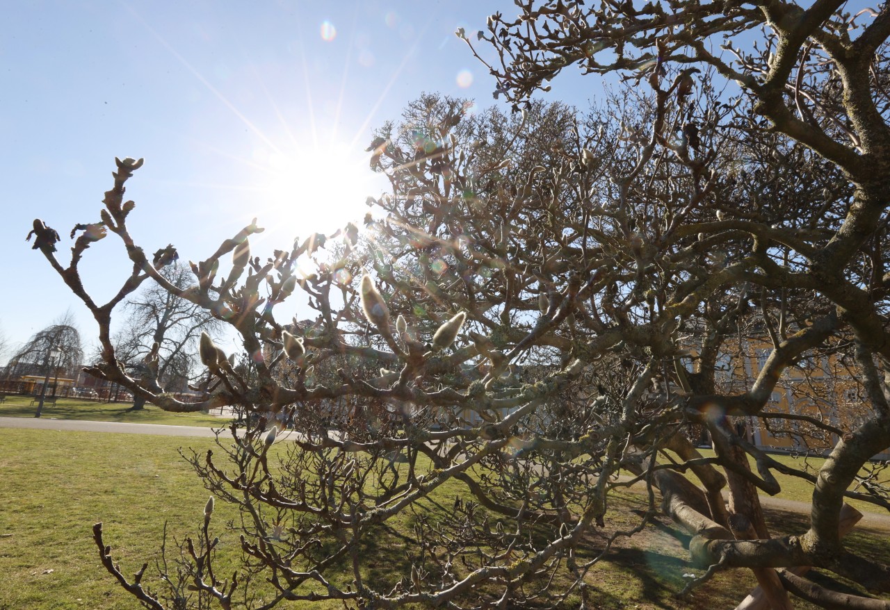 Vor den Osterfeiertagen sorgte die Sonne für Frühlingswetter in Thüringen.