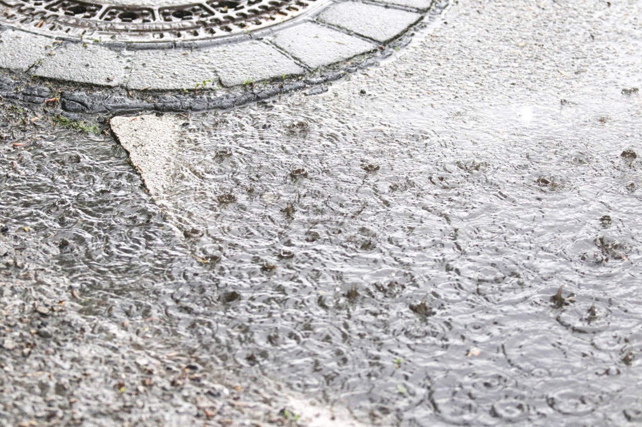 An regnerischen Straßen wird es auch in der kommenden Woche in Thüringen nicht mangeln. (Symbolbild)