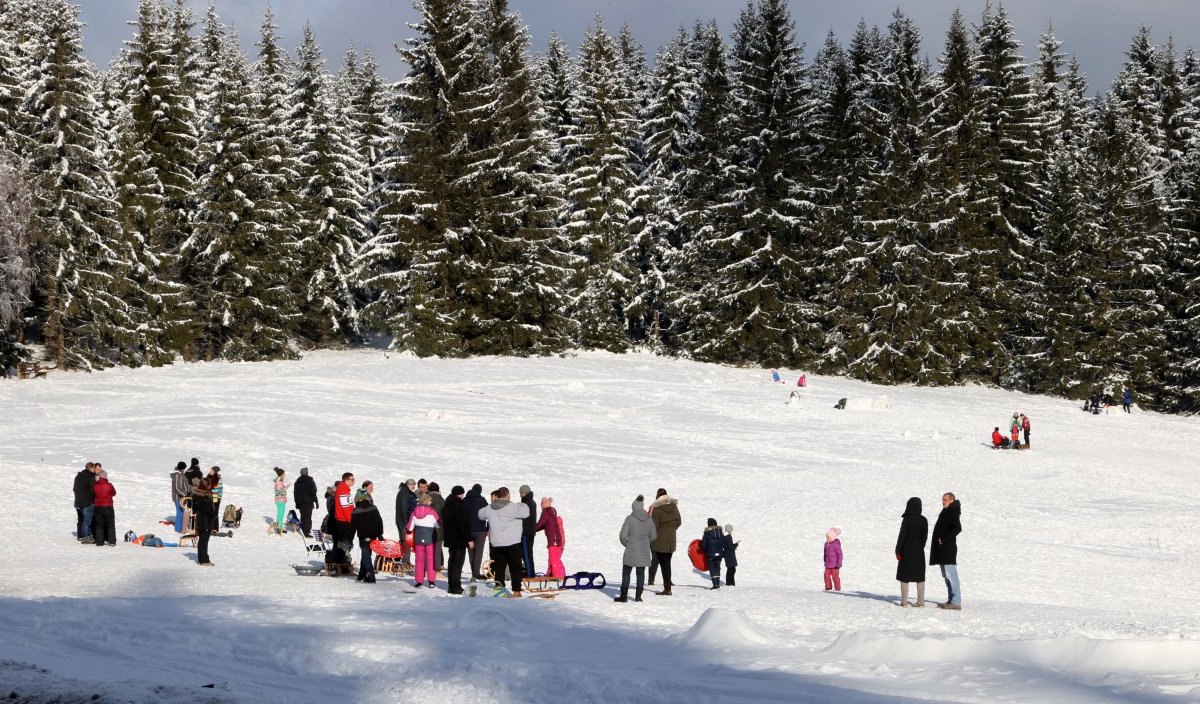 Wintersport im Thüringer Wald.jpg